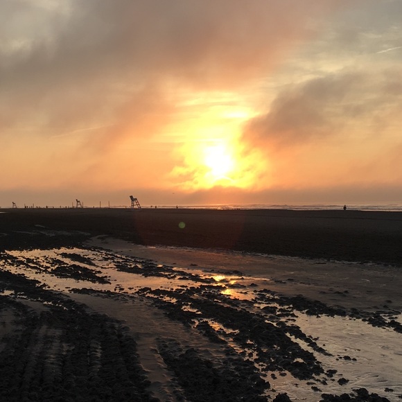 Meet your Posher, Donna - Picture 1 of 1